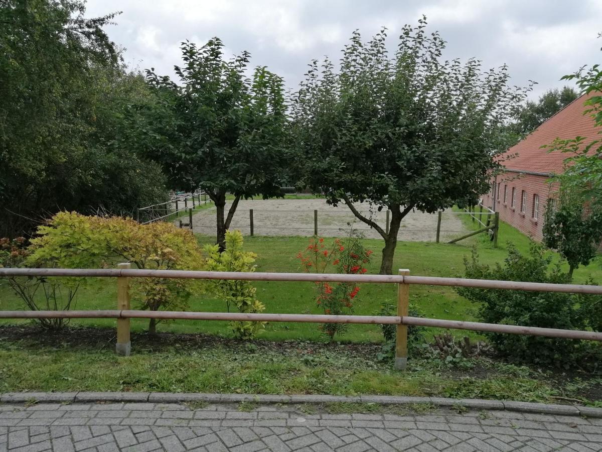 Kapitaensliebe *